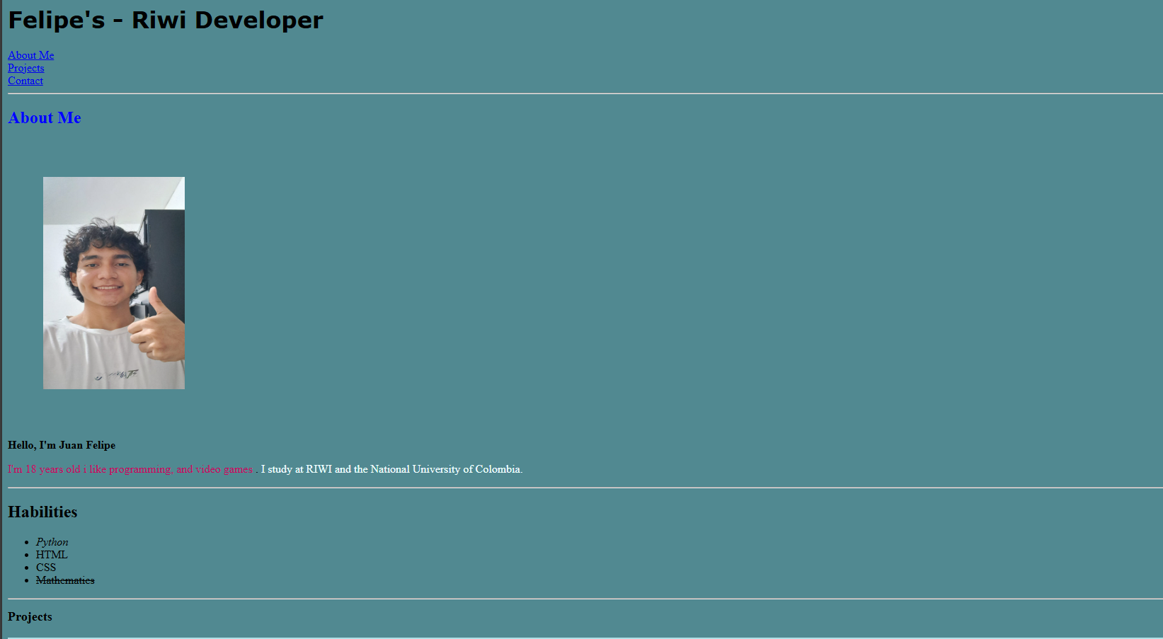 Portfolio's screenshot